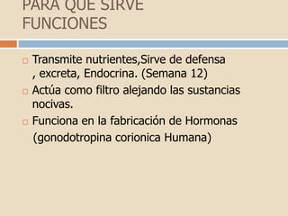 PARA QUE SIRVEFUNCIONESTransmite nutrientes,Sirve de defensa , excreta, Endocrina. (Semana 12) Actúa como filtro alejando las sustancias nocivas.Funciona en la fabricación de Hormonas   (gonodotropinacorionica Humana)
