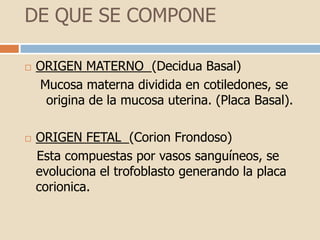 DE QUE SE COMPONEORIGEN MATERNO (Decidua Basal)Mucosa materna dividida en cotiledones, se origina de la mucosa uterina. (Placa Basal).ORIGEN FETAL (Corion Frondoso)   Esta compuestas por vasos sanguíneos, se    evoluciona el trofoblasto generando la placa corionica.