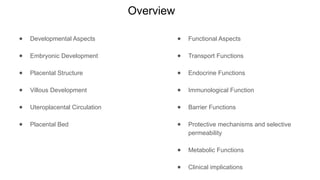 Comprehensive Overview of Placenta: Development, Function, and ...