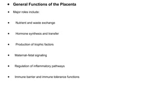 Comprehensive Overview of Placenta: Development, Function, and ...