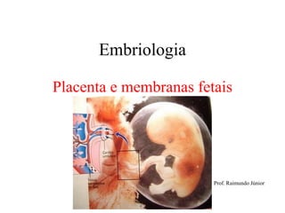 Embriologia
Placenta e membranas fetais
Prof. Raimundo Júnior
 