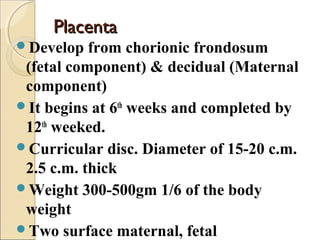 PlacentaPlacenta
Develop from chorionic frondosum
(fetal component) & decidual (Maternal
component)
It begins at 6th
weeks and completed by
12th
weeked.
Curricular disc. Diameter of 15-20 c.m.
2.5 c.m. thick
Weight 300-500gm 1/6 of the body
weight
Two surface maternal, fetal
 