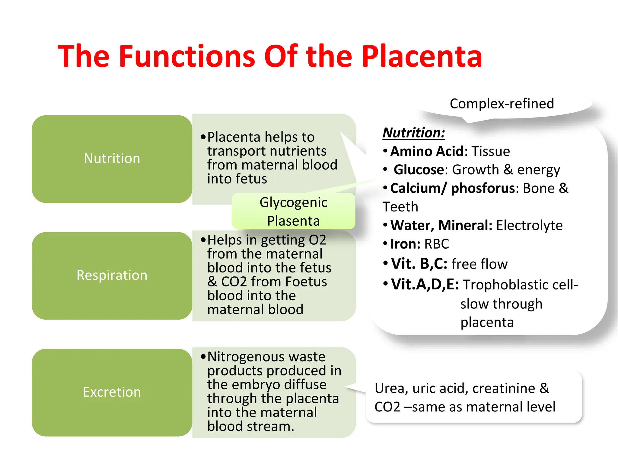 The Functions Of the Placenta
Nutrition
•Placenta helps to
transport nutrients
from maternal blood
into fetus
Respiration
•Helps in getting O2
from the maternal
blood into the fetus
& CO2 from Foetus
blood into the
maternal blood
Excretion
•Nitrogenous waste
products produced in
the embryo diffuse
through the placenta
into the maternal
blood stream.
Nutrition:
•Amino Acid: Tissue
• Glucose: Growth & energy
•Calcium/ phosforus: Bone &
Teeth
•Water, Mineral: Electrolyte
•Iron: RBC
•Vit. B,C: free flow
•Vit.A,D,E: Trophoblastic cell-
slow through
placenta
Glycogenic
Plasenta
Complex-refined
Urea, uric acid, creatinine &
CO2 –same as maternal level
 