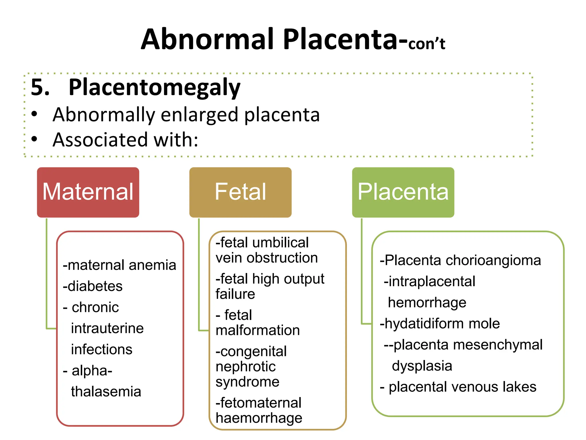 Abnormal Placenta-con’t
5. Placentomegaly
• Abnormally enlarged placenta
• Associated with:
Maternal
-maternal anemia
-diabetes
- chronic
intrauterine
infections
- alpha-
thalasemia
Fetal
-fetal umbilical
vein obstruction
-fetal high output
failure
- fetal
malformation
-congenital
nephrotic
syndrome
-fetomaternal
haemorrhage
Placenta
-Placenta chorioangioma
-intraplacental
hemorrhage
-hydatidiform mole
--placenta mesenchymal
dysplasia
- placental venous lakes
 
