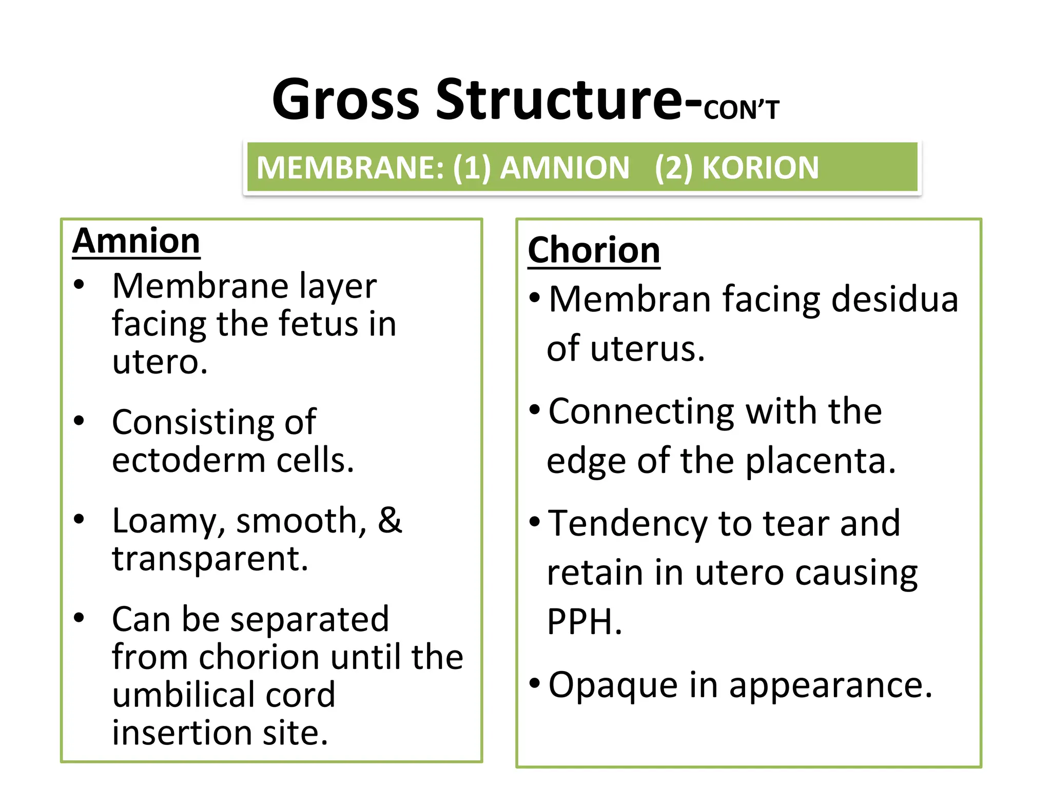 Gross Structure-CON’T
Amnion
• Membrane layer
facing the fetus in
utero.
• Consisting of
ectoderm cells.
• Loamy, smooth, &
transparent.
• Can be separated
from chorion until the
umbilical cord
insertion site.
Chorion
• Membran facing desidua
of uterus.
• Connecting with the
edge of the placenta.
• Tendency to tear and
retain in utero causing
PPH.
• Opaque in appearance.
MEMBRANE: (1) AMNION (2) KORION
 
