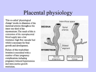Placental | PPTX