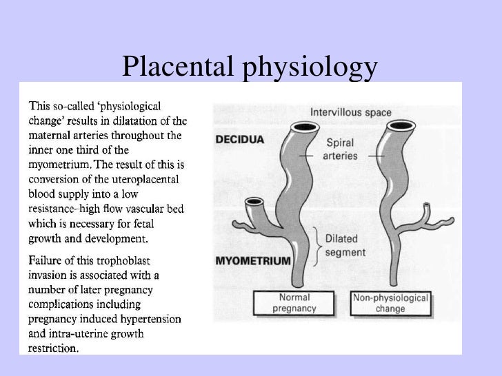 Placental