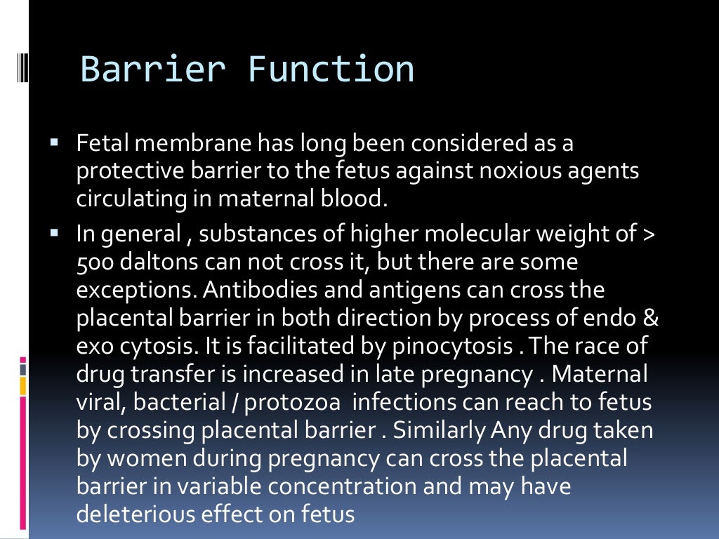 Placental blood barrier