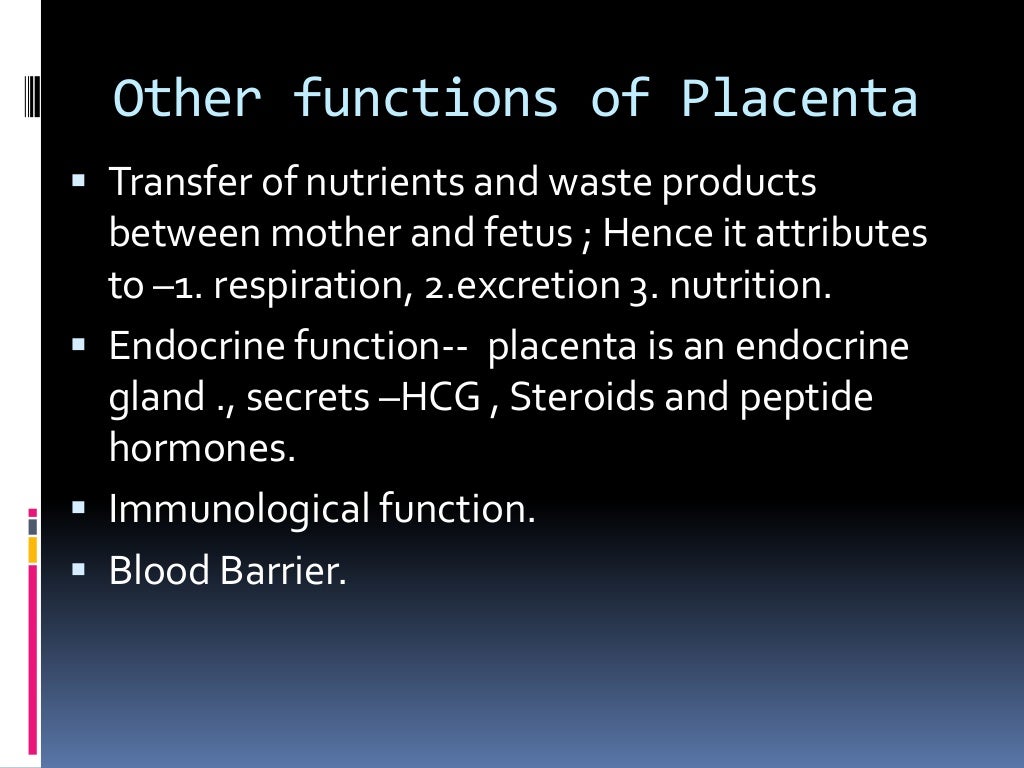 Placental blood barrier