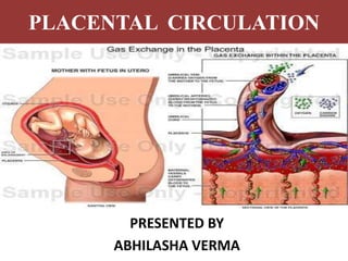 PLACENTAL CIRCULATION
PRESENTED BY
ABHILASHA VERMA
 
