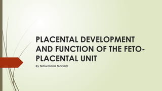 Comprehensive Overview of Placental Development and Fetoplacental ...