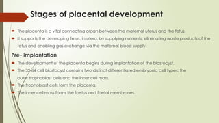 Comprehensive Overview of Placental Development and Fetoplacental ...