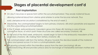 Comprehensive Overview of Placental Development and Fetoplacental ...