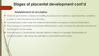 Comprehensive Overview of Placental Development and Fetoplacental ...