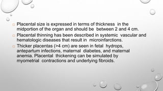  Placental size is expressed in terms of thickness in the
midportion of the organ and should be between 2 and 4 cm.
 Placental thinning has been described in systemic vascular and
hematologic diseases that result in microinfarctions.
 Thicker placentas (>4 cm) are seen in fetal hydrops,
antepartum infections, maternal diabetes, and maternal
anemia. Placental thickening can be simulated by
myometrial contractions and underlying fibroids.
 