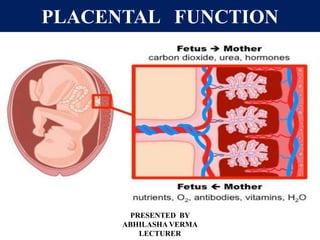 PLACENTAL FUNCTION
PRESENTED BY
ABHILASHA VERMA
LECTURER
 