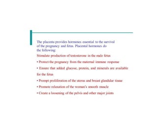 Placental hormones