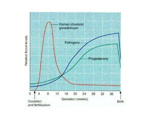 Placental hormones