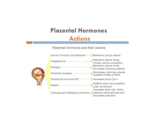 Placental hormones