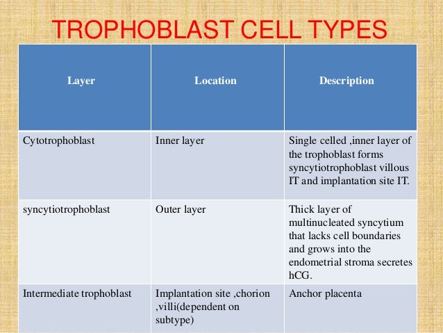 Placental pathology
