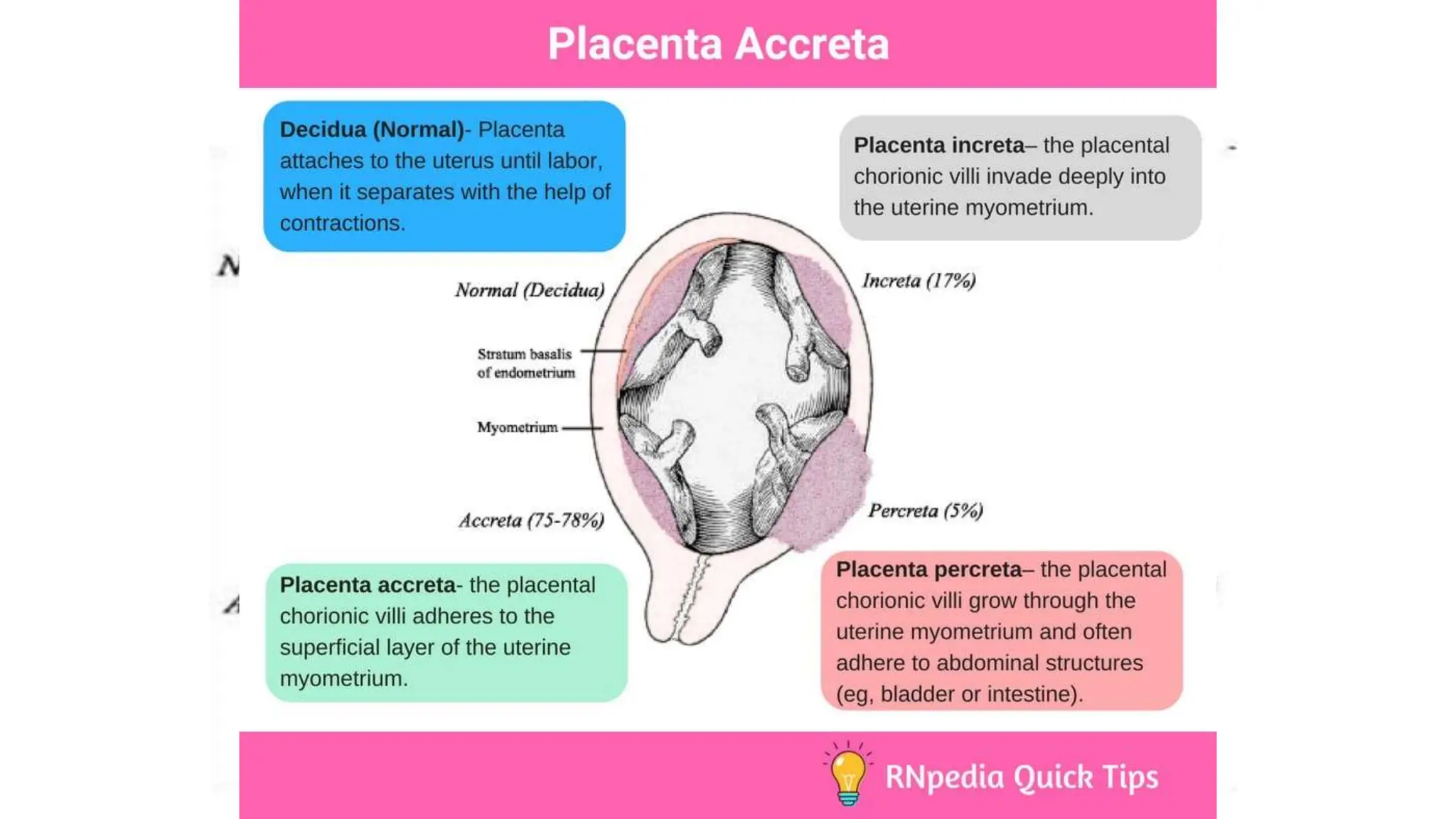 PLACENTA & MEMBRANES.pptx
