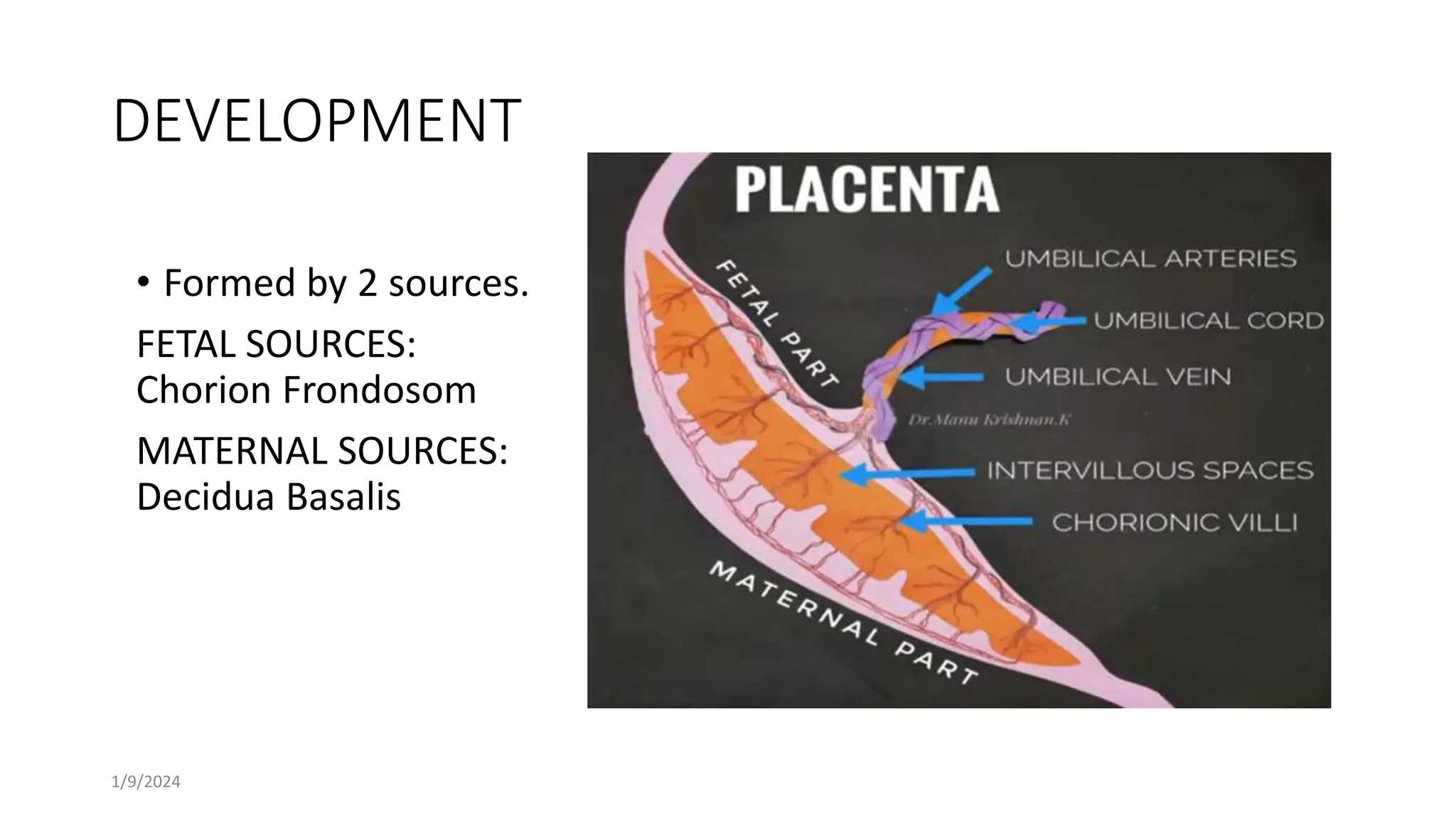 PLACENTA & MEMBRANES.pptx