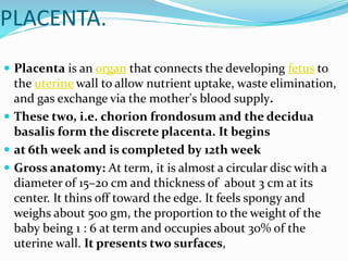 SURAFACES OF PLACENTA
 Fetal surface: The fetal surface is covered by the smooth and
glistening amnion with the umbilical...