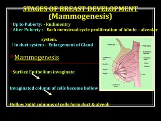 15. what would you expect to see on a fetal monitor tracing for a preeclamptic mother? image