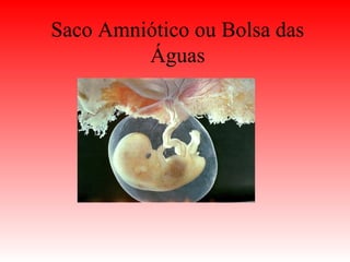 Saco Amniótico ou Bolsa das
Águas
 
