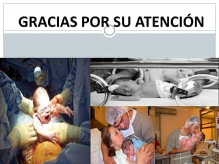 GRACIAS POR SU ATENCIÓN
 