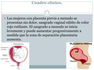 Cuadro clínico.
 Las mujeres con placenta previa a menudo se
presentan sin dolor, sangrado vaginal súbito de color
rojo rutilante. El sangrado a menudo se inicia
levemente y puede aumentar progresivamente a
medida que la zona de separación placentaria
aumenta.
 