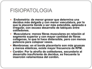 FISIOPATOLOGIA
 Endometrio: de menor grosor que determina una
decidua más delgada y con menor vasculatura, por lo
que la placenta tiende a ser más extendida, aplanada e
irregular, con escaso desarrollo de tabiques entre
cotiledones.
 Musculatura: menos fibras musculares en relación al
segmento superior y con mayor cantidad de fibras
colágenas, lo que lo hace distensible, pero con menos
potencia para colapsar vasos.
 Membranas: en el borde placentario son más gruesas
y menos elásticas, existe mayor frecuencia de RPM.
 Cordón: Por la atrofia de cotiledones, secundario al
desarrollo insuficiente de decidua, es frecuente la
inserción velamentosa del cordón.
 