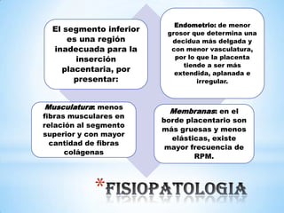 *
El segmento inferior
es una región
inadecuada para la
inserción
placentaria, por
presentar:
Endometrio: de menor
grosor que determina una
decidua más delgada y
con menor vasculatura,
por lo que la placenta
tiende a ser más
extendida, aplanada e
irregular.
Musculatura: menos
fibras musculares en
relación al segmento
superior y con mayor
cantidad de fibras
colágenas
Membranas: en el
borde placentario son
más gruesas y menos
elásticas, existe
mayor frecuencia de
RPM.
 