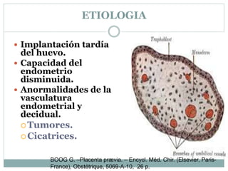ETIOLOGIA
 Implantación tardía
del huevo.
 Capacidad del
endometrio
disminuida.
 Anormalidades de la
vasculatura
endometrial y
decidual.
 Tumores.
 Cicatrices.
BOOG G. –Placenta prævia. – Encycl. Méd. Chir. (Elsevier, Paris-
France), Obstétrique, 5069-A-10, 26 p.
 