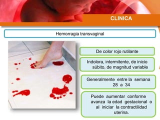 CLINICA
Hemorragia transvaginal
De color rojo rutilante
Indolora, intermitente, de inicio
súbito, de magnitud variable
Generalmente entre la semana
28 a 34
Puede aumentar conforme
avanza la edad gestacional o
al iniciar la contractilidad
uterina.
 
