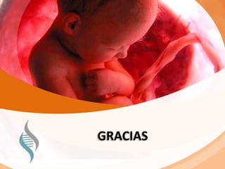 GRACIAS
 
