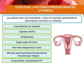 ETIOLOGIA y FACTORES PREDISPONENTES
UTERINOS
que alteran bien a él endometrio, o bien al miometrio perturbando la
placentación normal en su nidación.
Antecedentes de cesárea
Legrado uterino
Multiparidad
Edad sobre 35 años
Intervalo intergenésico corto
Miomas uterinos(miomectomías tienen
4vecesmayor riesgo)
Endometritis- Antecedente PP
 