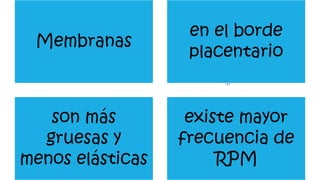 Membranas
en el borde
placentario
son más
gruesas y
menos elásticas
existe mayor
frecuencia de
RPM
:,.
 