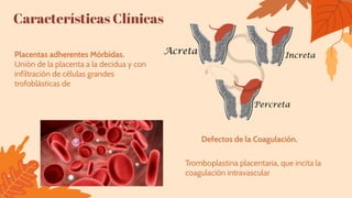 Placentas adherentes Mórbidas.
Unión de la placenta a la decidua y con
infiltración de células grandes
trofoblásticas de
Defectos de la Coagulación.
Características Clínicas
Tromboplastina placentaria, que incita la
coagulación intravascular
 