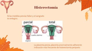 Histerectomía
Si las medidas previas fallan y el sangrado
es enérgico.
La placenta previa, placenta anormalmente adherente
indicación más frecuente de histerectomía periparto
 