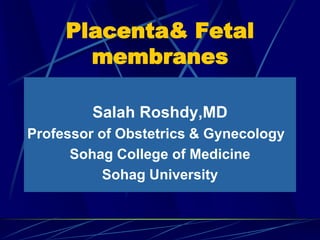Placenta& Fetal
membranes
Salah Roshdy,MD
Professor of Obstetrics & Gynecology
Sohag College of Medicine
Sohag University
 