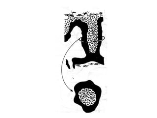 Comprehensive Overview of Fetal Membranes and Placenta Development | PPT