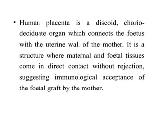 Comprehensive Overview of Fetal Membranes and Placenta Development | PPT