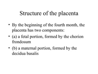 Comprehensive Overview of Fetal Membranes and Placenta Development | PPT