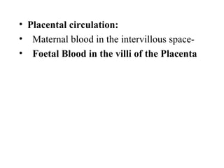 Comprehensive Overview of Fetal Membranes and Placenta Development | PPT