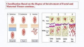 Classification Based on the Degree of Involvement of Foetal and
Maternal Tissues continue..
 