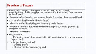 Functions of Placenta
• Enables the transport of oxygen, water, electrolytes and nutrition
(carbohydrates, lipids, polypeptides, amino acids & vitamins) from maternal
to foetal blood.
• Excretion of carbon dioxide, urea etc. by the foetus into the maternal blood.
• Acts as a barrier (bacteria, viruses, drugs).
• Maternal antibodies (IgG) gives immunity to the foetus.
• Keeps the maternal & foetal blood streams separate, thereby preventing
antigenic reactions.
Placental Hormones
• Progesterone:
For maintenance of pregnancy after 4th month (when the corpus luteum
degenerates).
• Oestrogen (mainly estriol):
– Uterine growth
– Development of mammary gland
 
