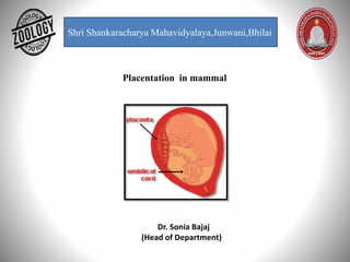 Shri Shankaracharya Mahavidyalaya,Junwani,Bhilai
Placentation in mammal
Dr. Sonia Bajaj
(Head of Department)
 