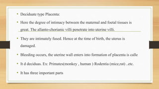 • Deciduate type Placenta:
• Here the degree of intimacy between the maternal and foetal tissues is
great. The allanto-chorianic villi penetrate into uterine villi.
• They are intimately fused. Hence at the time of birth, the uterus is
damaged.
• Bleeding occurs, the uterine wall enters into formation of placenta is calle
• It d deciduas. Ex: Primates(monkey , human ) Rodentia (mice,rat) ..etc.
• It has three important parts
 