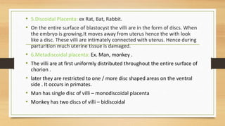 • 5.Discoidal Placenta: ex Rat, Bat, Rabbit.
• On the entire surface of blastocyst the villi are in the form of discs. When
the embryo is growing.It moves away from uterus hence the with look
like a disc. These villi are intimately connected with uterus. Hence during
parturition much uterine tissue is damaged.
• 6.Metadiscoidal placenta: Ex. Man, monkey .
• The villi are at first uniformly distributed throughout the entire surface of
chorion .
• later they are restricted to one / more disc shaped areas on the ventral
side . It occurs in primates.
• Man has single disc of villi – monodiscoidal placenta
• Monkey has two discs of villi – bidiscoidal
 